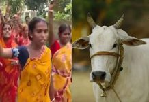 গরু কোরবানিতে নিষেধাজ্ঞায় বিপদে ভারতের হিন্দুরা