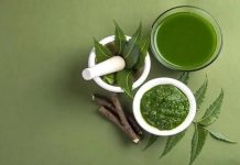 এক মুঠো নিমপাতাতেই গরমে ত্বকের স্বস্তি
