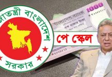 নবম পে স্কেলে কোন গ্রেডে কত শতাংশ বাড়ছে বেতন, বৈঠকে চূড়ান্ত