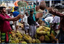 বাংলাদেশ থেকে যে কারণে কাঁঠাল নিতে চায় চীন