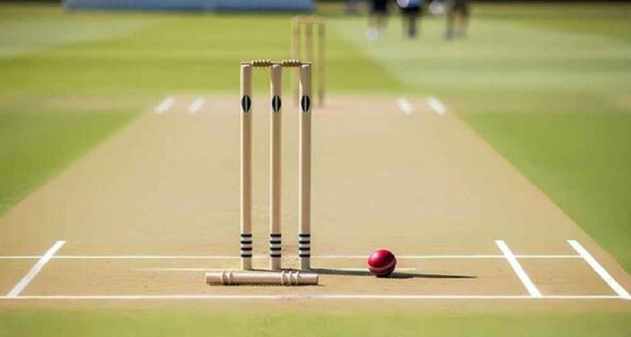 cricket_20260601_084909784