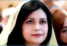 স্বাস্থ্যখাতের ঘাটতি চিহ্নিতে চেষ্টা করছে সরকার: জুবাইদা রহমান