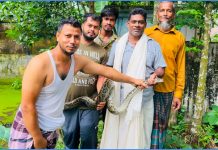 একে একে উধাও হচ্ছিল হাঁস-মুরগি, শেষে ধরা পড়ল অজগর