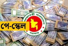 সরকারি চাকরিজীবীদের নতুন বেতন কাঠামো অনুমোদন, তিন ধাপে বাস্তবায়ন