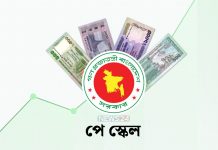 ১০০ ভাগের বেশি বাড়বে না পে স্কেলের বেতন