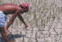 জলবায়ু পরিবর্তনের প্রভাব কৃষিতে