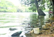 বদলে যাবে ধানমন্ডি লেক