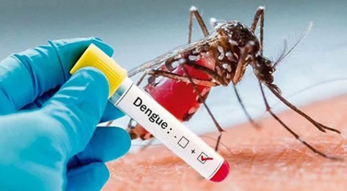 Dengue-20260831115157