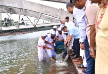 জিয়া উদ্যানের লেকে মাছের পোনা অবমুক্ত করলেন তারেক রহমান