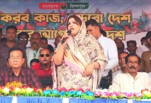 আওয়ামী আমলের জ্বালানি খাতের দুর্নীতির মাশুল দিচ্ছে জনগণ: পররাষ্ট্র প্রতিমন্ত্রী