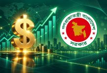 ৫ মাসে বিদেশি ঋণ পরিশোধে রেকর্ড