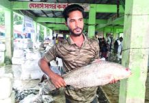 জেলের জালে ৮ কেজির কালো পোয়া ৪০ হাজার টাকায় বিক্রি