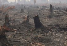 সুপার এল নিনো কি, কিভাবে এটা আবহাওয়াকে প্রভাবিত করে?