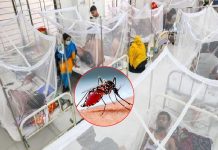 ডেঙ্গুতে আরও ২ জনের মৃত্যু, এ বছর হাসপাতালে ভর্তি ৫০ হাজার ছাড়াল