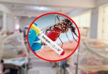 ডেঙ্গুতে আরও ১০ জনের মৃত্যু