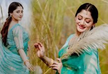 কাশফুলের কোমল ছোঁয়ায় পূজা চেরী