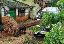 ঘূর্ণিঝড় ‘অর্ণবের’ তাণ্ডবে ভারতে নিহত ৬