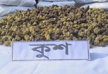 বাংলাদেশে ঢুকছে নতুন মাদক ‘কুশ’: কতটা বিপজ্জনক এই মাদক?