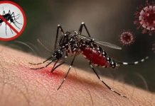 ডেঙ্গুতে আরও ৫ জনের মৃত্যু, হাসপাতালে ভর্তি ১৩৬৬